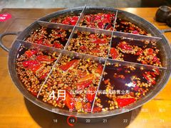 -白乐天毛肚火锅馆(南滨路店)
