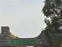 -溱湖国家湿地公园