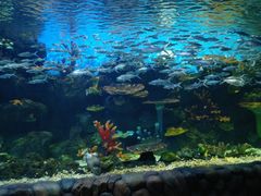 -华夏文旅海洋公园