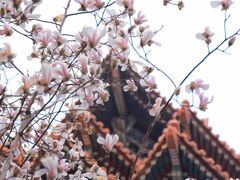 -东华门大街小区