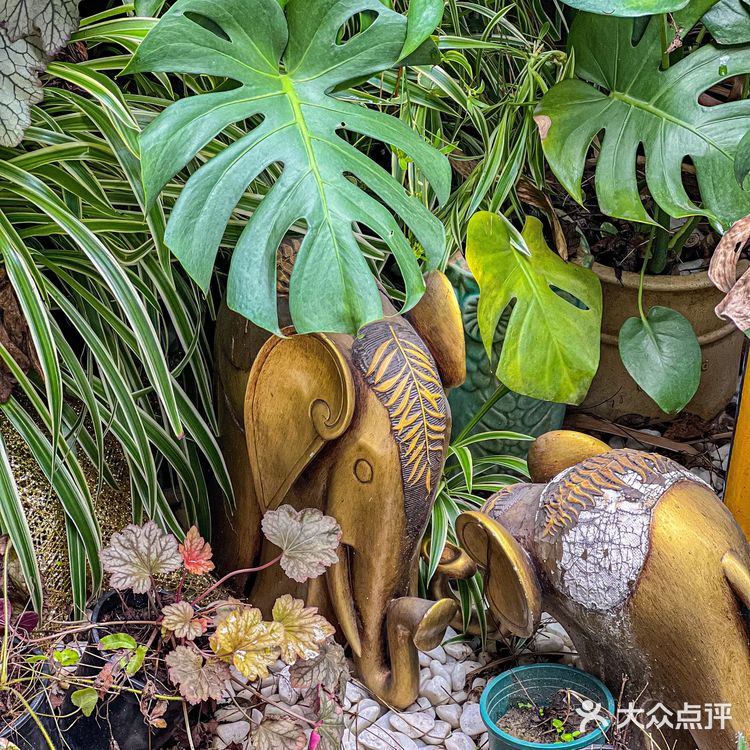 今天就解锁一家隐藏在东门的宝藏泰式料理专门店