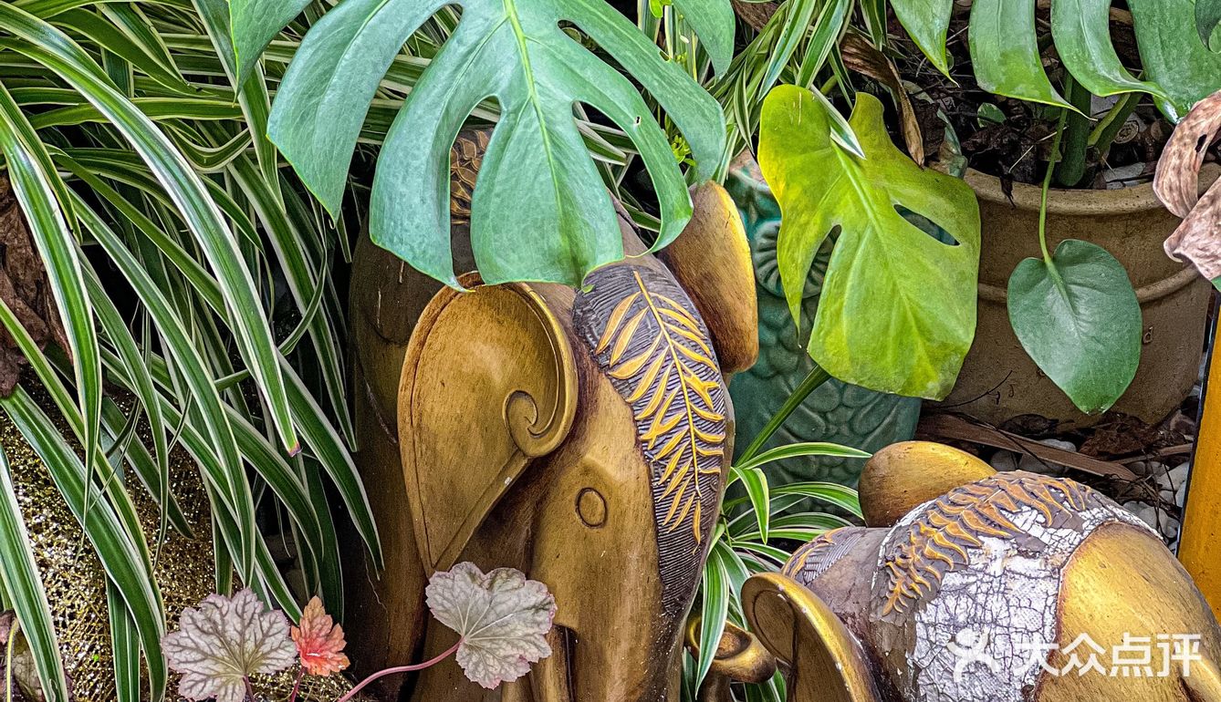 今天就解锁一家隐藏在东门的宝藏泰式料理专门店