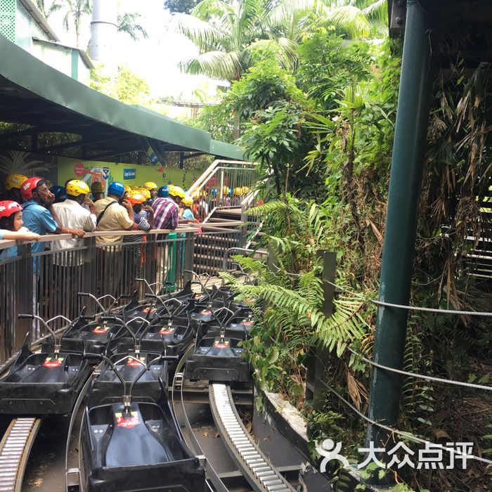 圣淘沙天际线斜坡滑车图片-北京更多景点玩乐-大众点评网