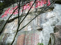 -铁山坪森林公园