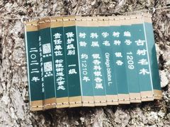 -圆通寺