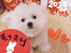 -佐罗家宠物馆·猫文化馆(紫霞路店)