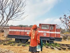 -田野绿世界