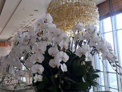 -视界美食自助餐厅·石家庄希尔顿酒店