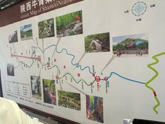 -牛背梁国家森林公园