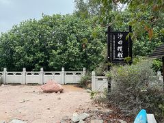 -大亚湾红树林城市湿地公园