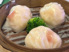 -憶廟街 X 沙角邨(太古城店)