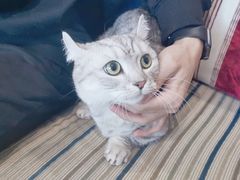 -欧奕国际动物医院