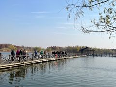 -溱湖国家湿地公园