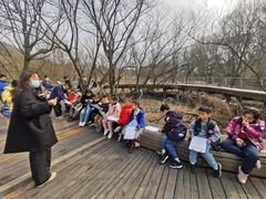 -西湖风景区-江洋畈生态公园