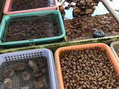 -南沙十九涌渔人码头-南门