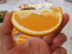 -轩记海鲜餐厅·四十五年老字号·经典粤菜(西区彩虹店)