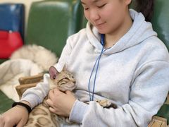 -猫小院猫主题餐厅(南锣旗舰店)