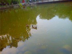 C360_2012-06-06-19-22-58_org_副本-玲珑塔公园