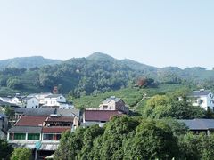 -龙井村
