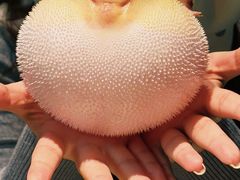 -永安鱼庄·镇江菜(东吴路店)