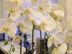 -瑞尔齿科(颐堤港诊所)