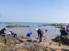 -日照灯塔风景区