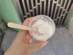 手工椰子雪糕-洪馨椰子