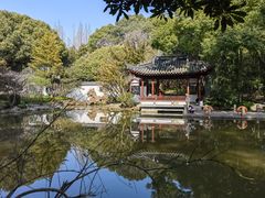 -汇龙潭