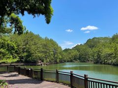 -冠豸山景区