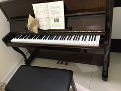 -谈·PIANO(金唐新光界店)