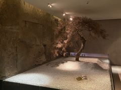 -新荣记(建国门外大街店)