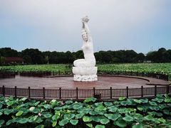 -荷塘月色湿地公园·向阳花洲