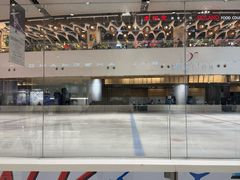 -TheRink大零溜冰场(IFS国金中心店)