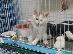 -达爱动物医院·犬猫分区·CT·复杂眼科(远洋山水分院)