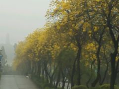 -佛山祈福仙湖酒店