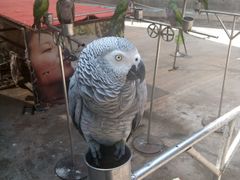 -西安秦岭野生动物园