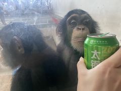 -太原动物园