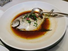 -樱苑(四川北路店)