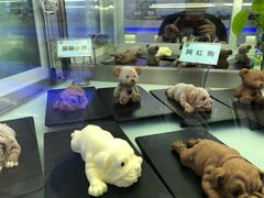 -澜悦港海鲜体验主题餐厅