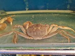 -柳记海鲜坊·蒸汽海鲜·福州菜·香辣蟹(芳群园店)