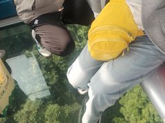 -昂坪360缆车