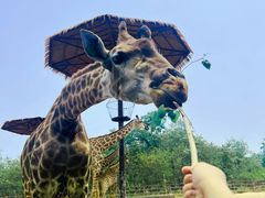 -济南野生动物世界