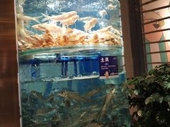 -香坝坝鲜鱼火锅(春熙路店)