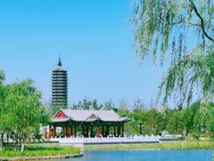-西海子公园