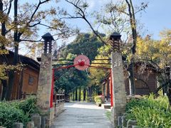 -云南民族村