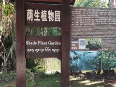 -中国科学院西双版纳热带植物园