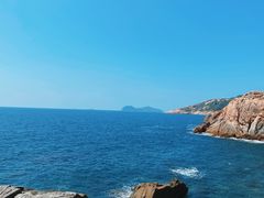 -广东惠东海龟国家级自然保护区