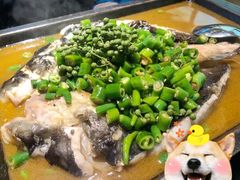 -探鱼·鲜青椒爽麻烤鱼(广州花都来又来店)