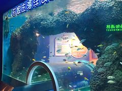 -石家庄海洋公园