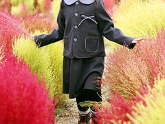 -天津东丽湖风景区